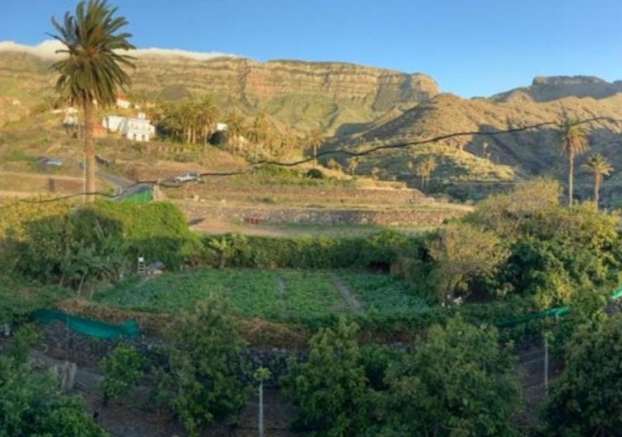 Casa Maria - Finca Medina Alojera Dış mekan fotoğraf
