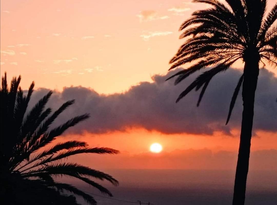 Casa Maria - Finca Medina Alojera Dış mekan fotoğraf