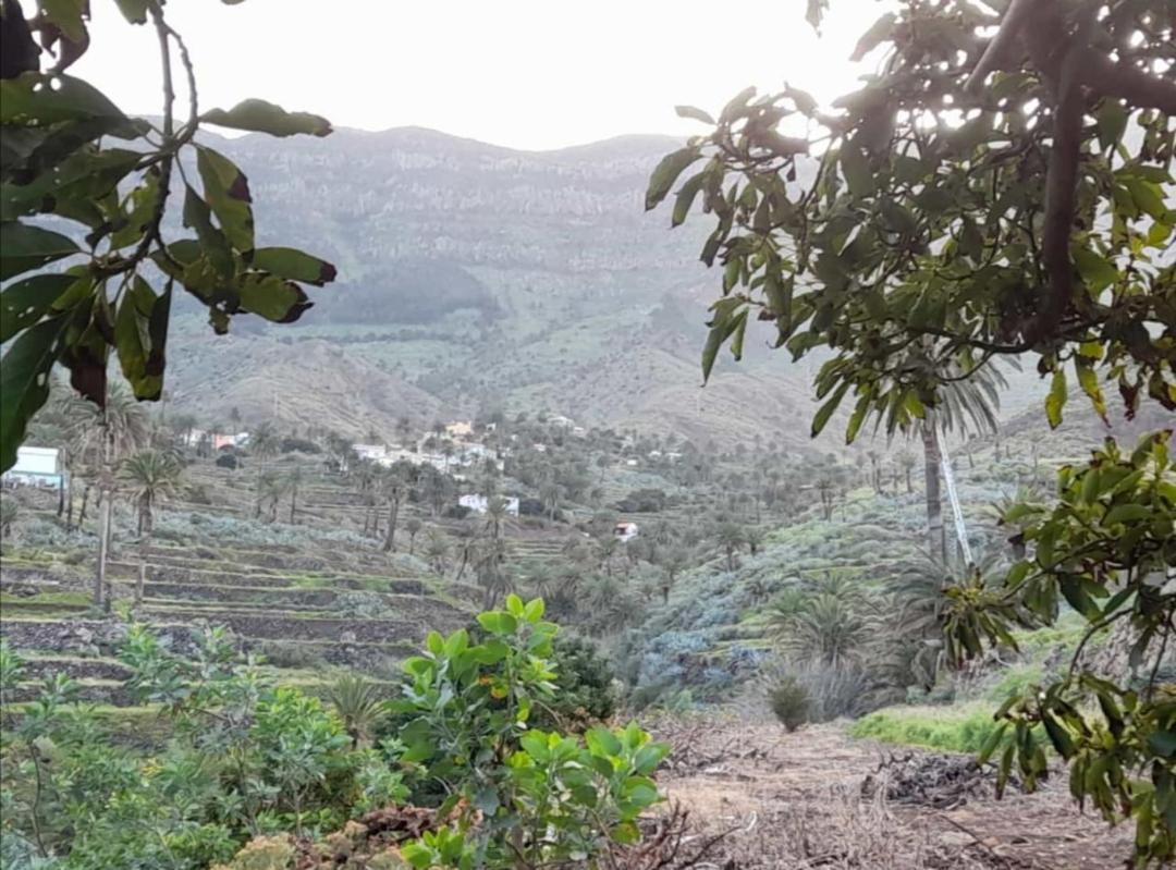 Casa Maria - Finca Medina Alojera Dış mekan fotoğraf